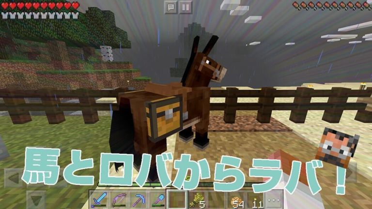 馬とロバのいいとこ取り！ラバを誕生させてみたらすごく便利｜#42 おじクラ – マインクラフトPE