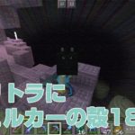 エリトラにシュルカーの殻18個！シュルカー祭りのエンドシティー攻略｜#96 おじクラ - マインクラフト（BE）