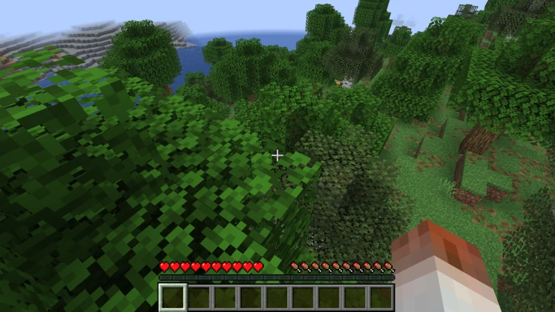 A bee found from the treetop