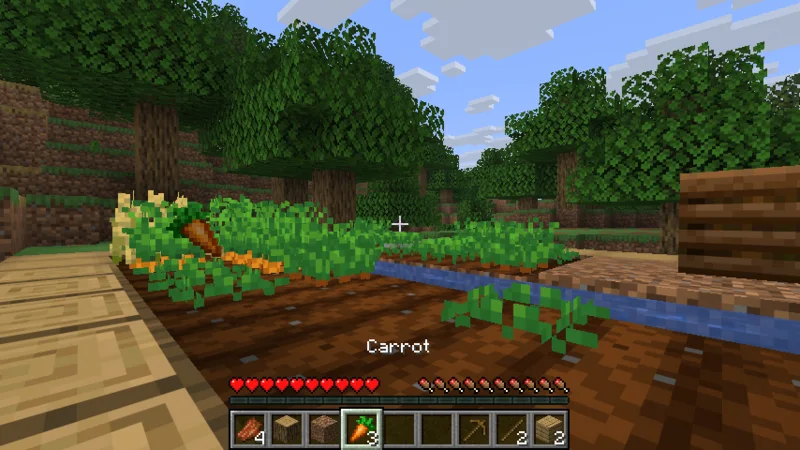 ここをキャンプ地とする！マイクラの村での生活の幕開け｜おじクラシーズン3 #9