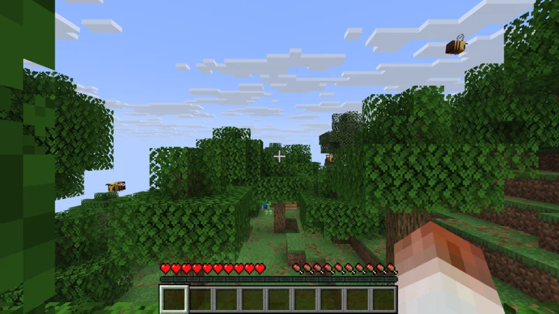 The forest after respawning