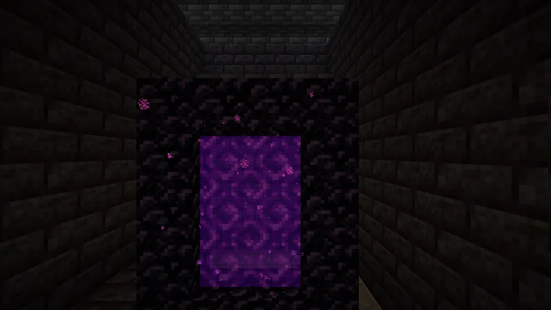 The working Nether portal inside the fire-resistant chamber of the Black Gate