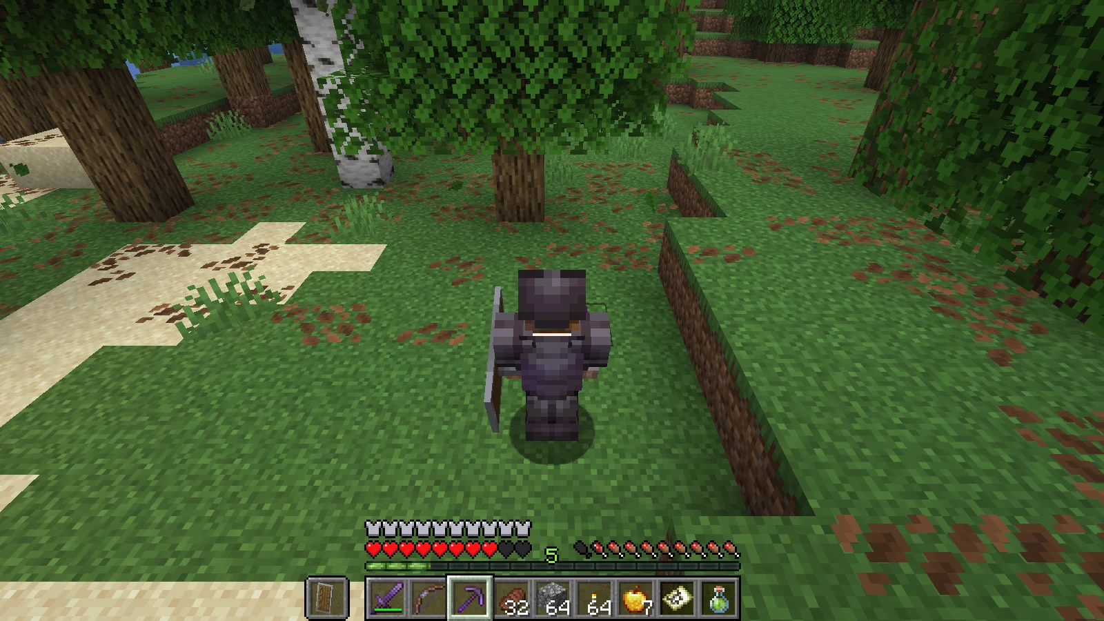 The suited man in full Netherite armor beginning to dig underground