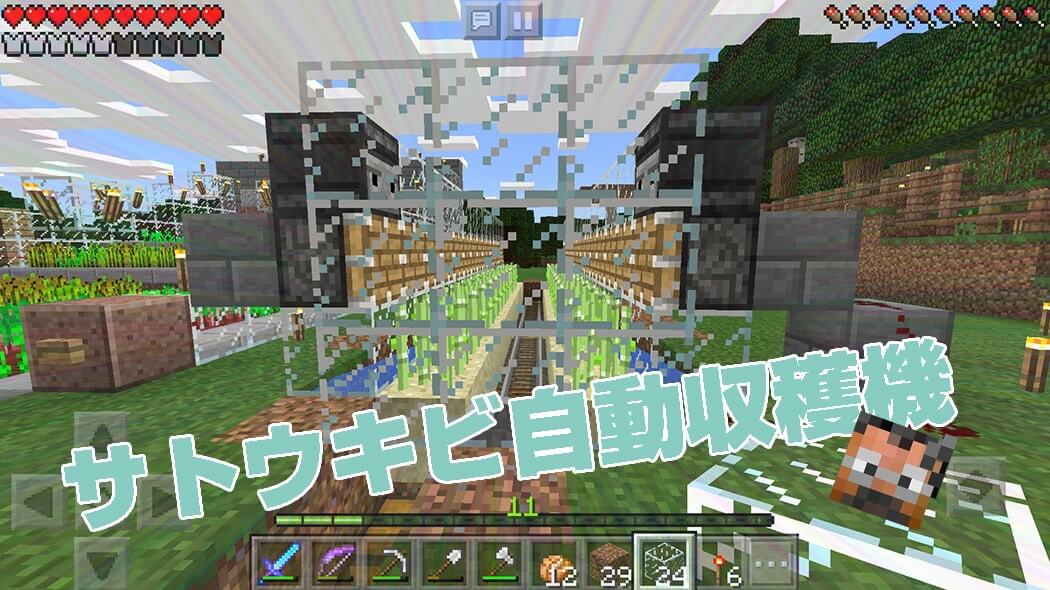 An automatic sugar cane farm built with observers and pistons in Minecraft PE