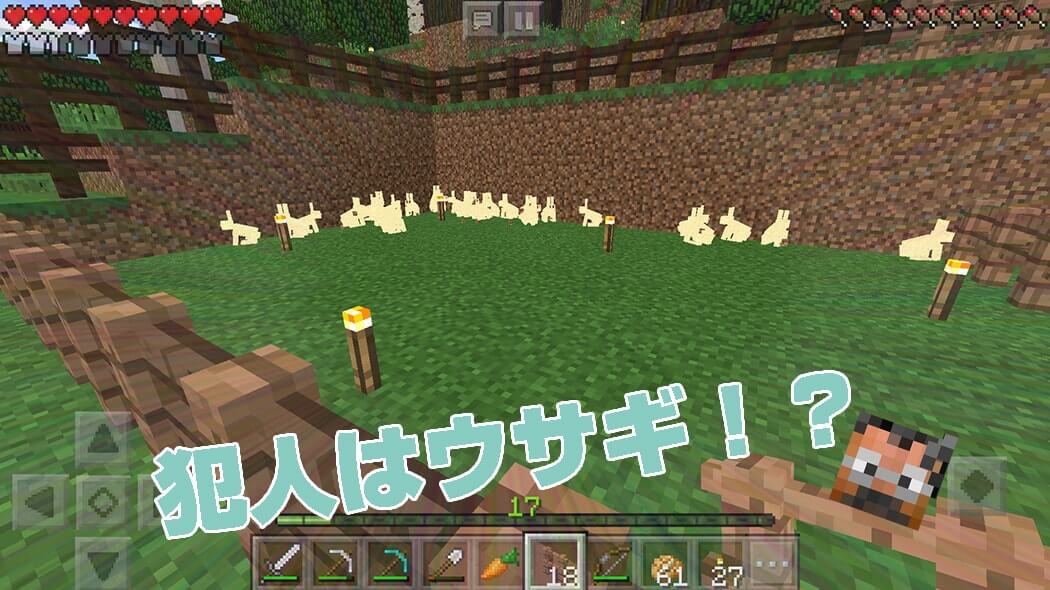 Rabbits gathered near the village after damaging the carrot field in Minecraft PE