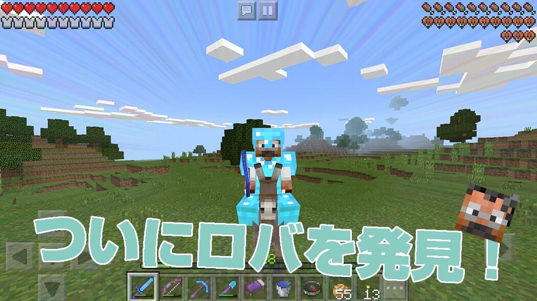 A donkey found after a long Minecraft PE search