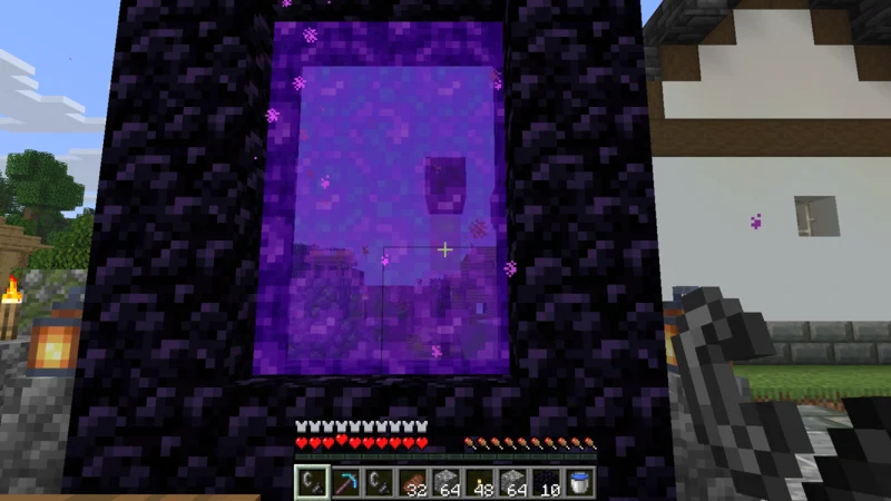 The Nether portal being lit with flint and steel The Nether portal being lit with flint and steel
