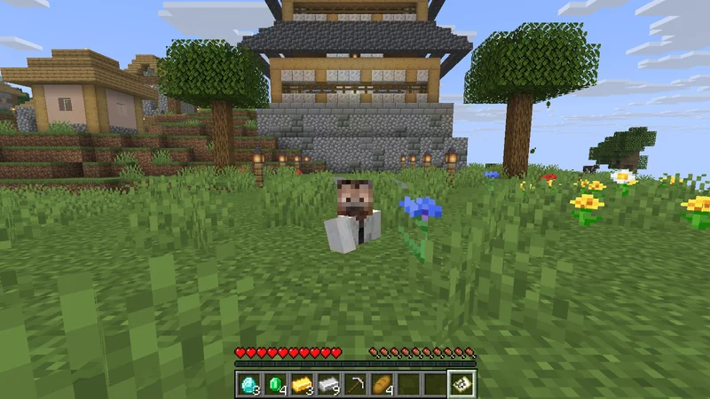 マイクラで難破船を発見!ダイヤと宝の地図を見つけました|おじクラシーズン3 #17 マイクラで難破船を発見!ダイヤと宝の地図を見つけました|おじクラシーズン3 #17