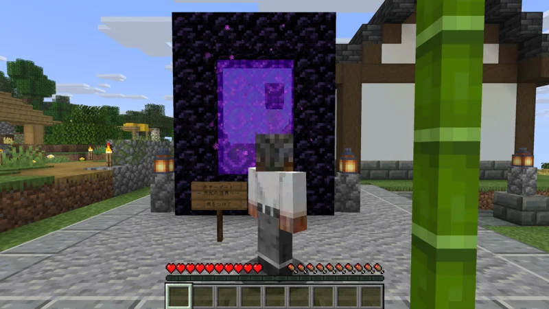 The suited man returning empty-handed in front of the Nether portal The suited man returning empty-handed in front of the Nether portal