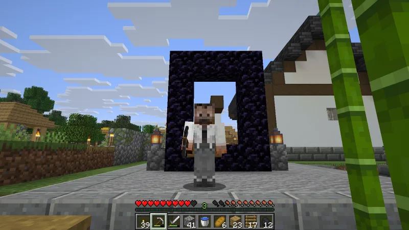 The man in a suit standing outside the village in iron armor after losing his gear The man in a suit standing outside the village in iron armor after losing his gear