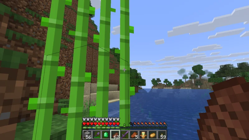 Sugar cane growing at the water's edge beside a river