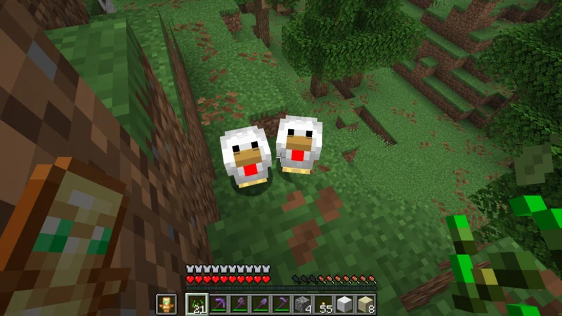Two naturally spawned chickens approaching while the suited man holds seeds Two naturally spawned chickens approaching while the suited man holds seeds