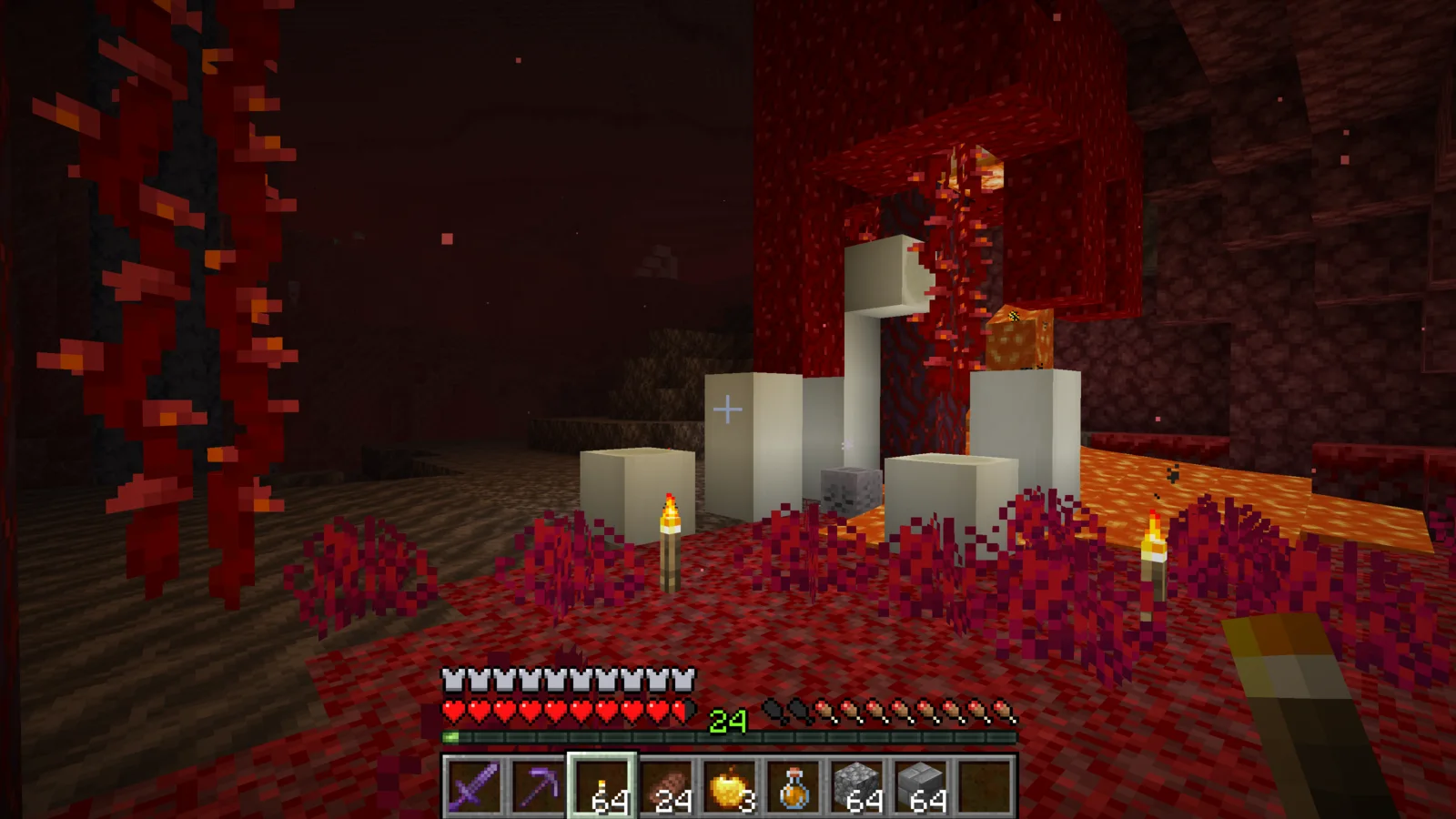 A Nether Fossil made of Bone Blocks in the Nether