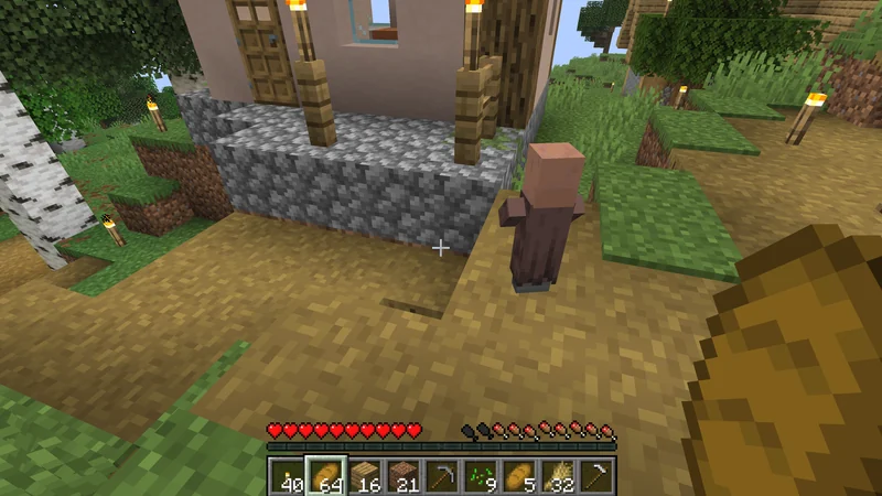 A small baby villager with a large head standing outside a village house