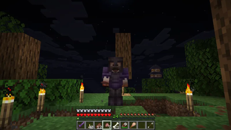 Holding an Armadillo Scute beside the armored wolf at the night camp Holding an Armadillo Scute beside the armored wolf at the night camp
