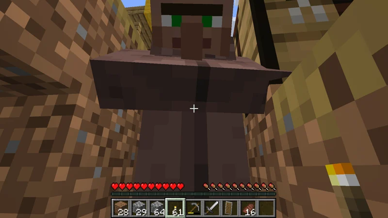 A Villager looking closely at me beside a village home