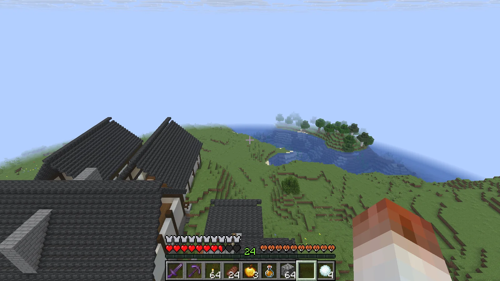 Looking across the castle town rooftops and the sea from Shiro's back