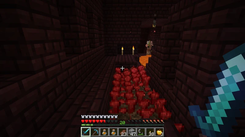Nether Wart growing on Soul Sand in an enclosed Nether Fortress room Nether Wart growing on Soul Sand in an enclosed Nether Fortress room