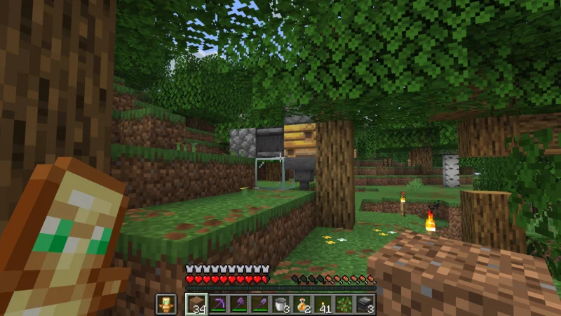 The completed forest apiary preserving the natural tree and flowers The completed forest apiary preserving the natural tree and flowers