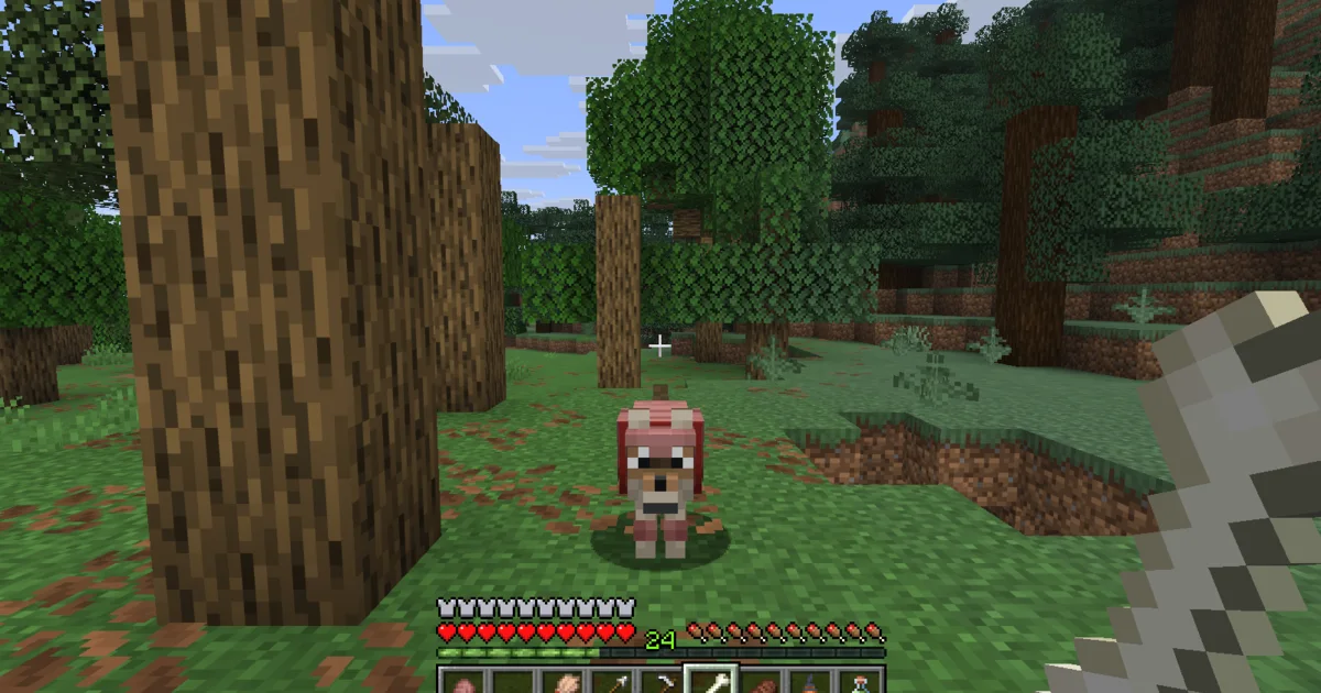 A tamed wolf wearing red Wolf Armor in a forest