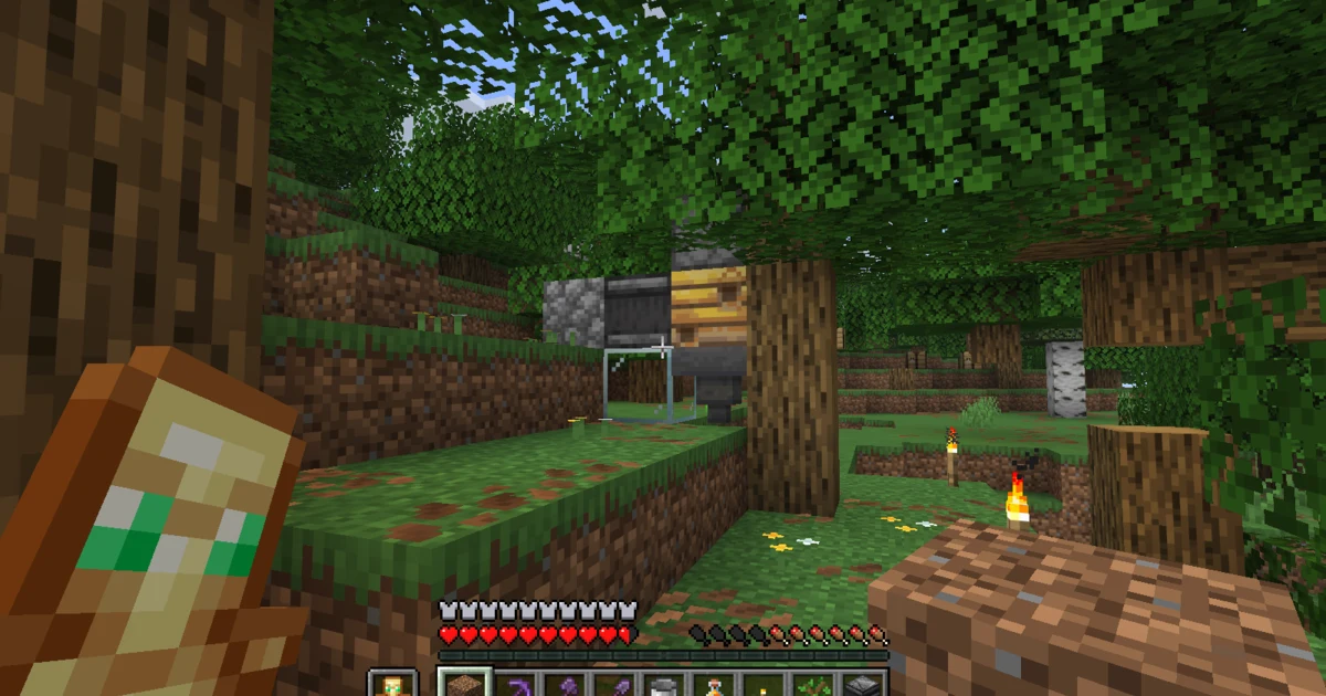 The completed forest apiary built around a natural bee nest and its honeycomb collector