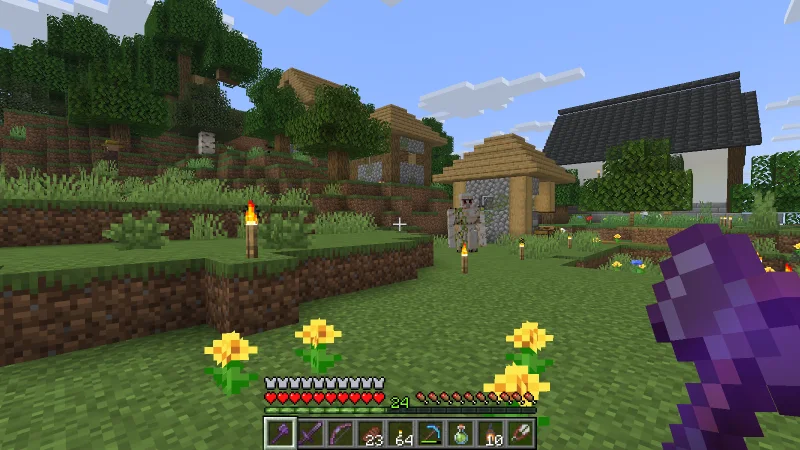 Leaving the castle town with its gate and Iron Golem behind Leaving the castle town with its gate and Iron Golem behind