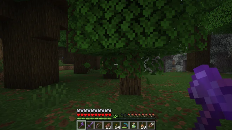 Walking through a dark forest of oak trees with an axe Walking through a dark forest of oak trees with an axe
