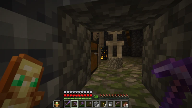 A skeleton spawner and chest seen through a peephole in the dungeon wall A skeleton spawner and chest seen through a peephole in the dungeon wall