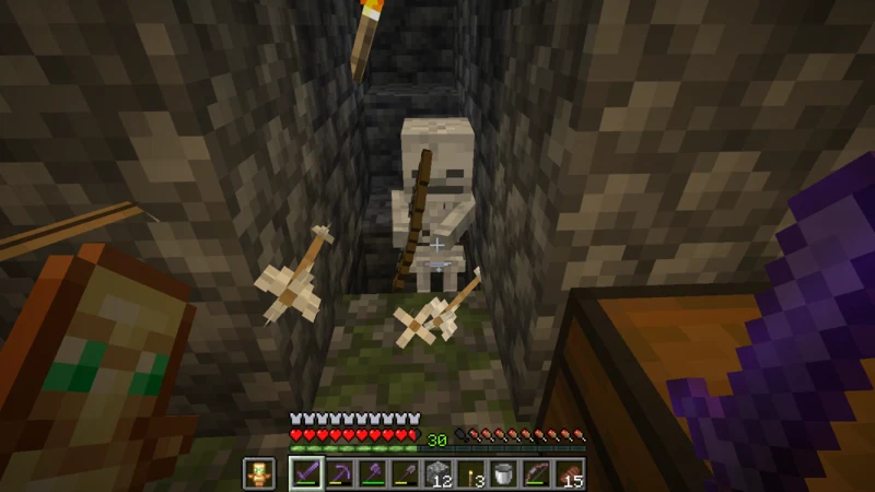 Fighting a skeleton at the entrance to the underground dungeon Fighting a skeleton at the entrance to the underground dungeon
