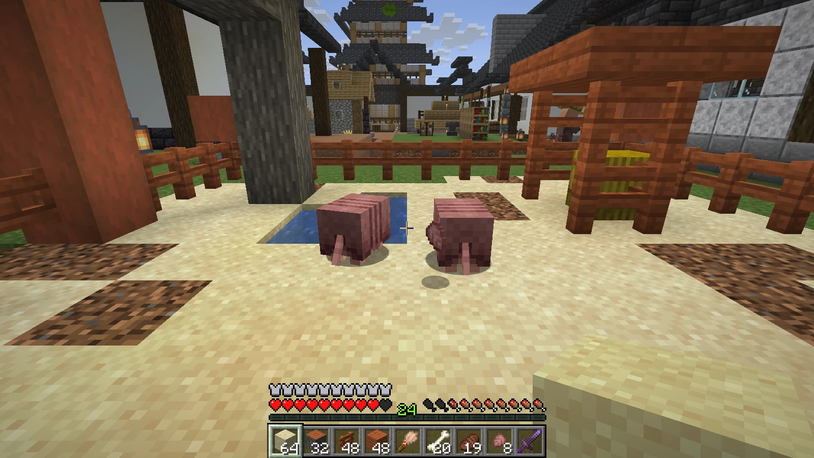 Two Armadillos standing beside the ranch water pool Two Armadillos standing beside the ranch water pool