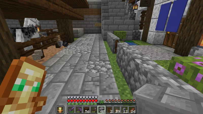 Stone brick, cobblestone, and andesite paving in front of the inn Stone brick, cobblestone, and andesite paving in front of the inn