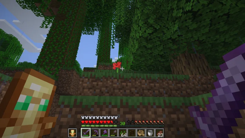 Landing at the vine-covered edge of a jungle Landing at the vine-covered edge of a jungle