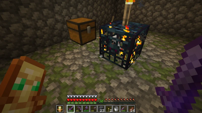 A skeleton spawner lit with a torch inside the dungeon A skeleton spawner lit with a torch inside the dungeon