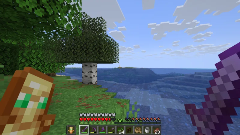 The lake seen from the jungle shore after landing The lake seen from the jungle shore after landing