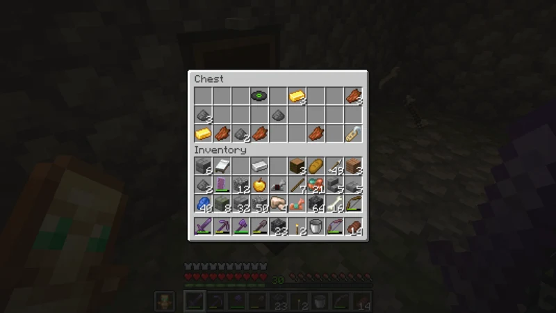 The second dungeon chest with a name tag, a record, and gold inside The second dungeon chest with a name tag, a record, and gold inside
