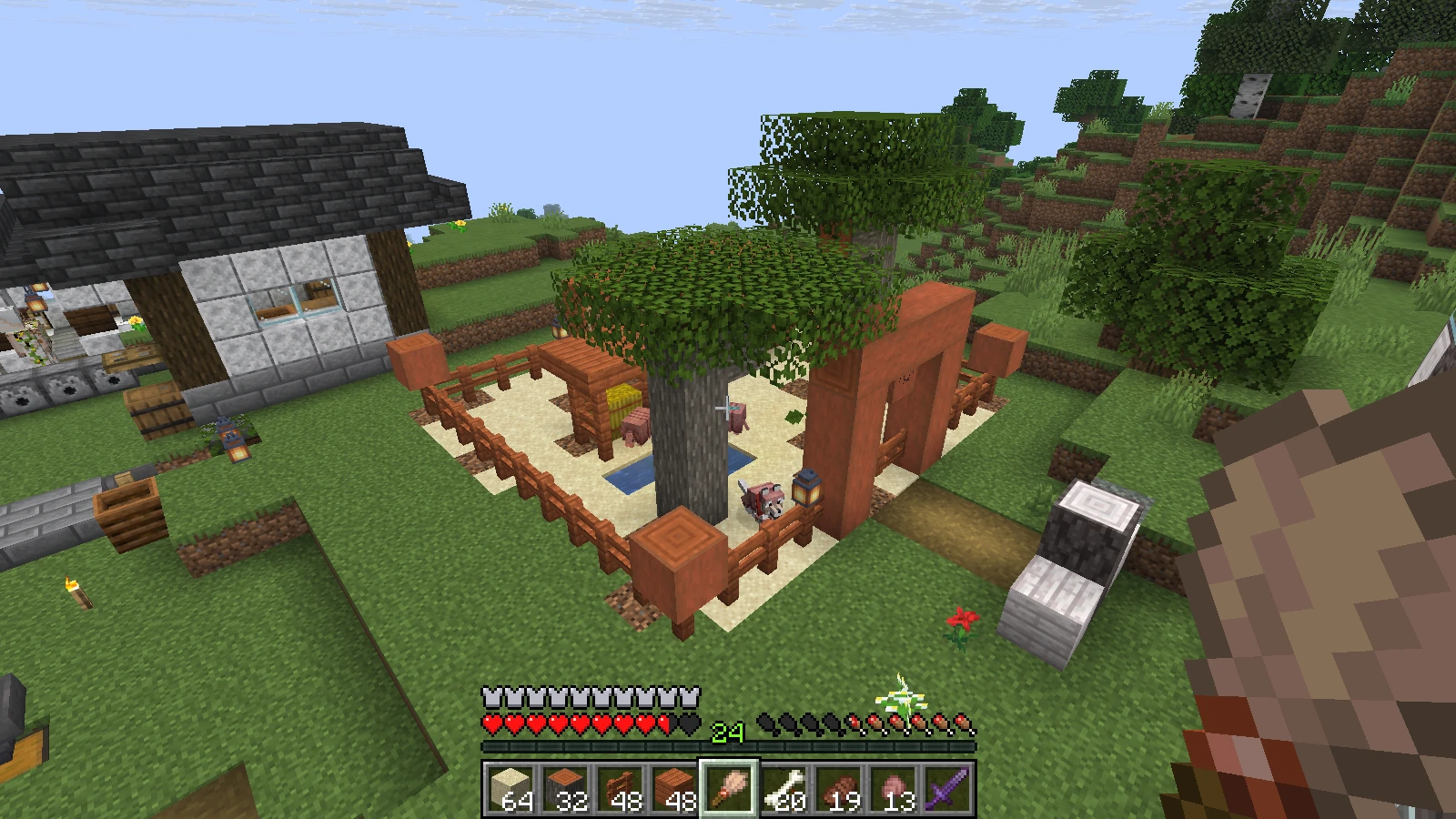 The completed ranch with Armadillos and the armored wolf viewed from above The completed ranch with Armadillos and the armored wolf viewed from above