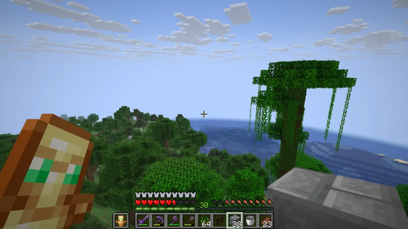 A view of the lake and giant trees from the jungle canopy A view of the lake and giant trees from the jungle canopy