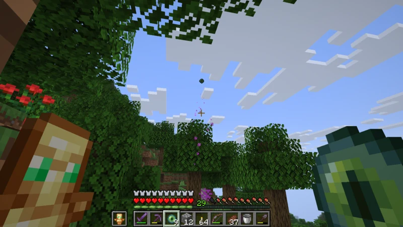 The third Eye of Ender flying above the forest