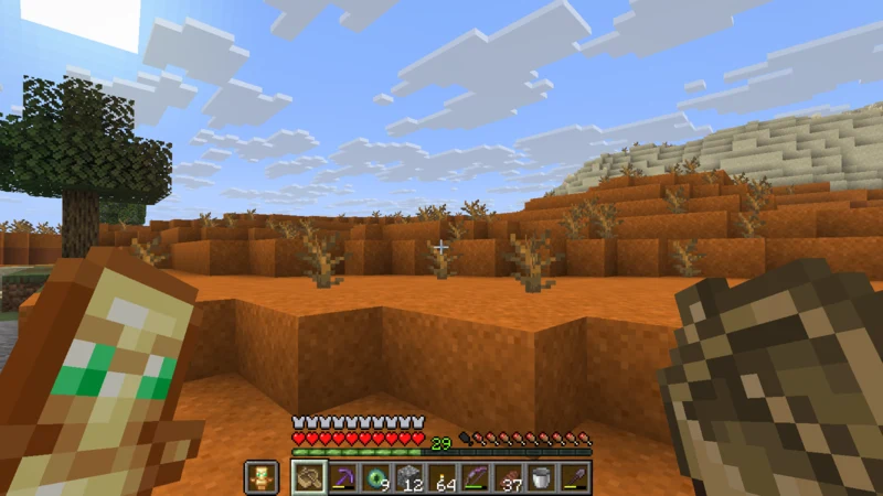 A desert coming into view beyond the Mesa
