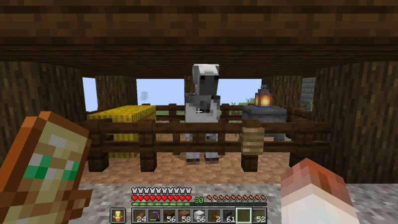 Azuki the gray horse in the inn stable with hay and a water bucket Azuki the gray horse in the inn stable with hay and a water bucket