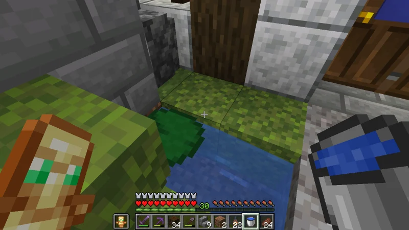 The suited man filling a bucket from the pond in front of the inn The suited man filling a bucket from the pond in front of the inn