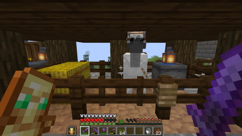 Azuki back inside the stable at the inn Azuki back inside the stable at the inn