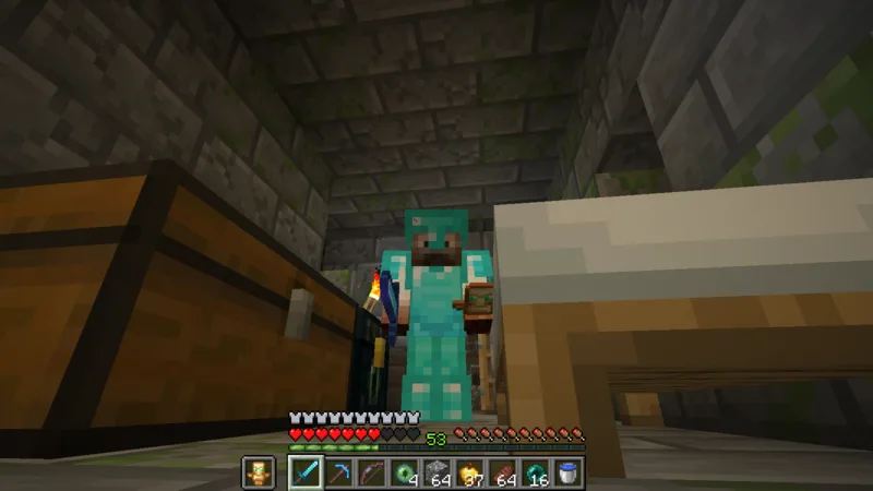 The suited man at the stronghold forward base after the dragon fight The suited man at the stronghold forward base after the dragon fight