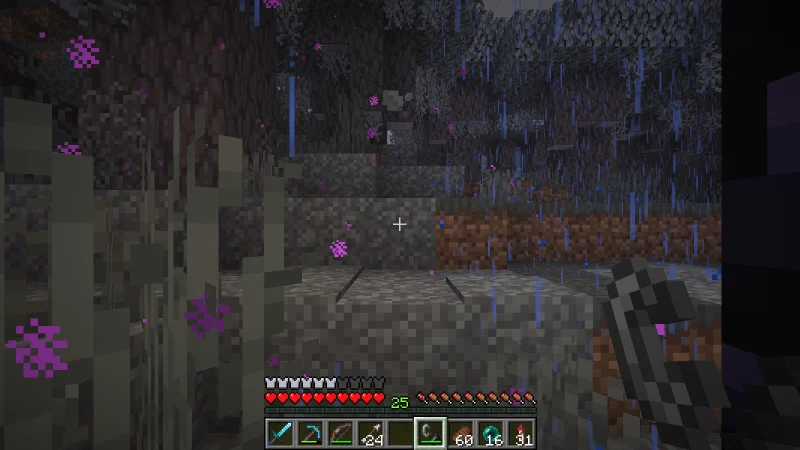 The view in a rainy forest beside the mansion-side portal The view in a rainy forest beside the mansion-side portal