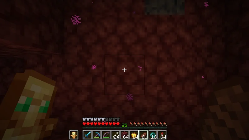 A mansion-side passage enclosed by red Nether stone A mansion-side passage enclosed by red Nether stone