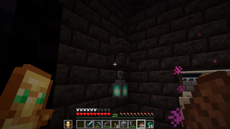 The empty Nether-side reception passage after the Allays leave The empty Nether-side reception passage after the Allays leave
