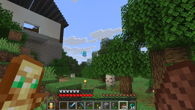 The grassy field north of the castle town before the music hall is built The grassy field north of the castle town before the music hall is built