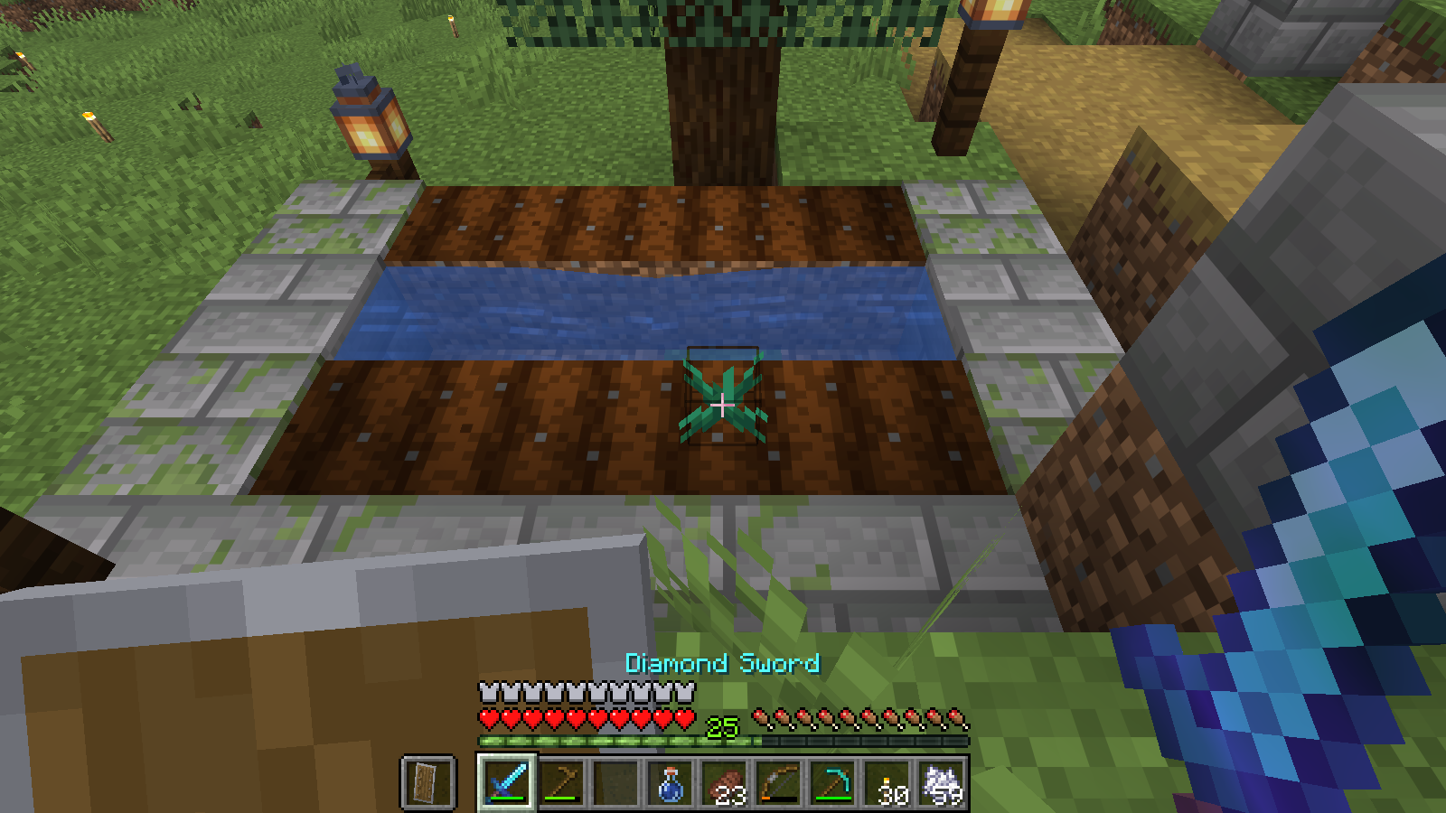 A Torchflower sprout planted in the flower bed A Torchflower sprout planted in the flower bed