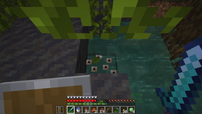 Frogspawn floating on the water beside the edge of the mud
