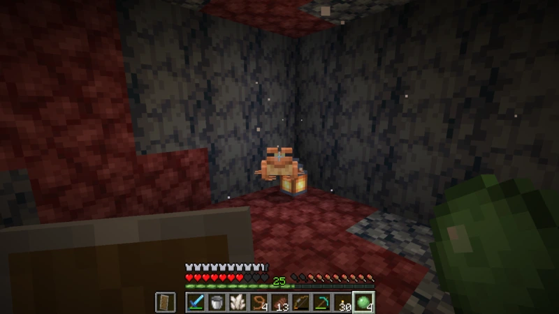 A frog in a small basalt and netherrack room lit by lanterns